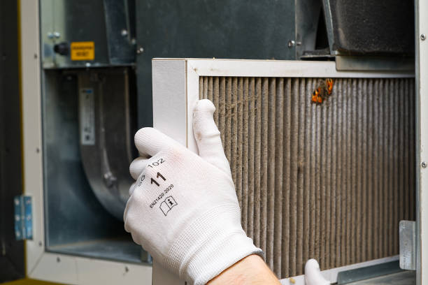 Best Commercial Air Duct Cleaning  in Los Chaves, NM